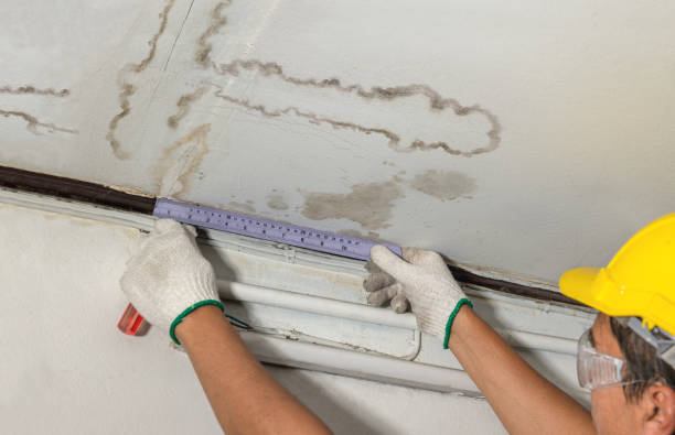 Reliable Water Damage Repair contractor in Springfield, MA by Hirex Water Damage